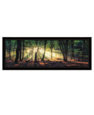 HomeRoots Set of Two Elegant Sun Rays in Forest Black Framed Wall Art – Serene Nature-Inspired Décor Piece 568741