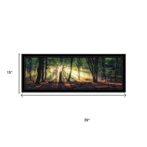 HomeRoots Set of Two Elegant Sun Rays in Forest Black Framed Wall Art – Serene Nature-Inspired Décor Piece 568741