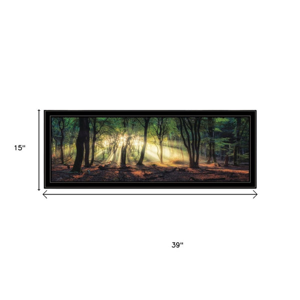 HomeRoots Set of Two Elegant Sun Rays in Forest Black Framed Wall Art – Serene Nature-Inspired Décor Piece 568741