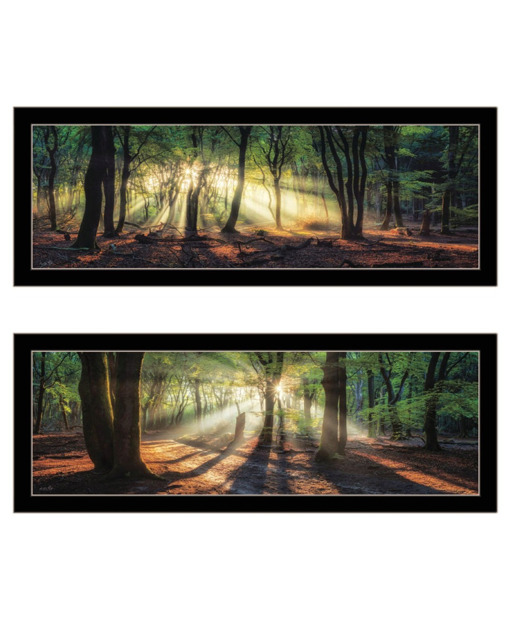 HomeRoots Set of Two Framed Wall Art - Sun Rays Through Forest Scene, Elegant Design for Home Decor 568742