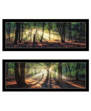 HomeRoots Set of Two Framed Wall Art - Sun Rays Through Forest Scene, Elegant Design for Home Decor 568742
