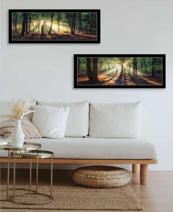 HomeRoots Set of Two Framed Wall Art - Sun Rays Through Forest Scene, Elegant Design for Home Decor 568742