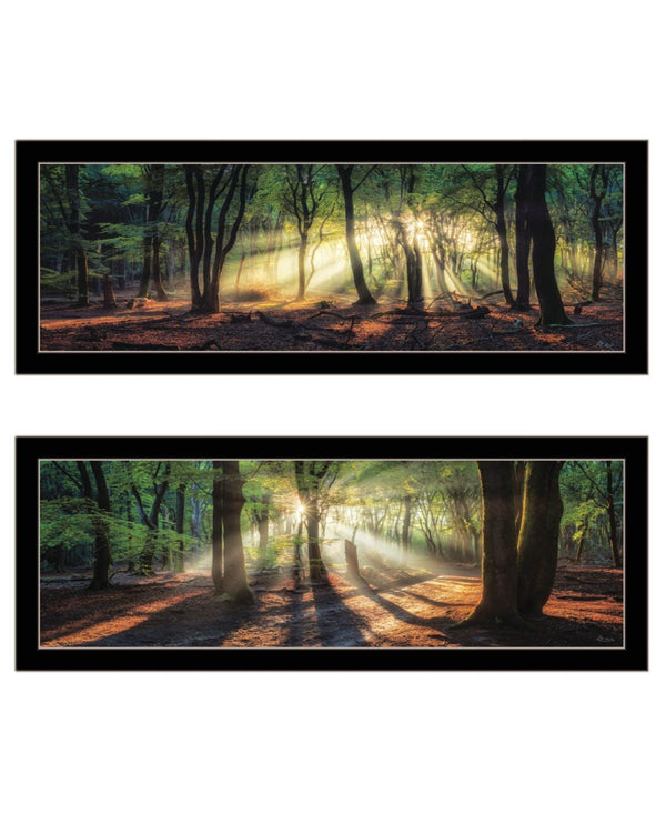 HomeRoots Set of Two Framed Wall Art - Sun Rays Through Forest Scene, Elegant Design for Home Decor 568742