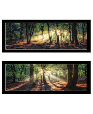 HomeRoots Set of Two Framed Wall Art - Sun Rays Through Forest Scene, Elegant Design for Home Decor 568742