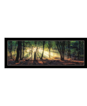 HomeRoots Set of Two Framed Wall Art - Sun Rays Through Forest Scene, Elegant Design for Home Decor 568742