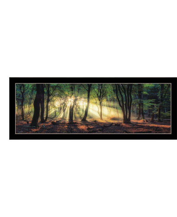 HomeRoots Set of Two Framed Wall Art - Sun Rays Through Forest Scene, Elegant Design for Home Decor 568742