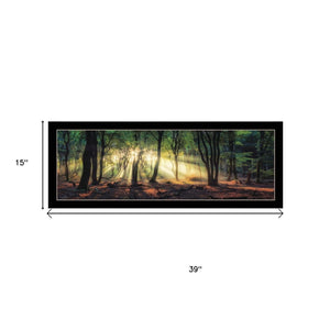 HomeRoots Set of Two Framed Wall Art - Sun Rays Through Forest Scene, Elegant Design for Home Decor 568742
