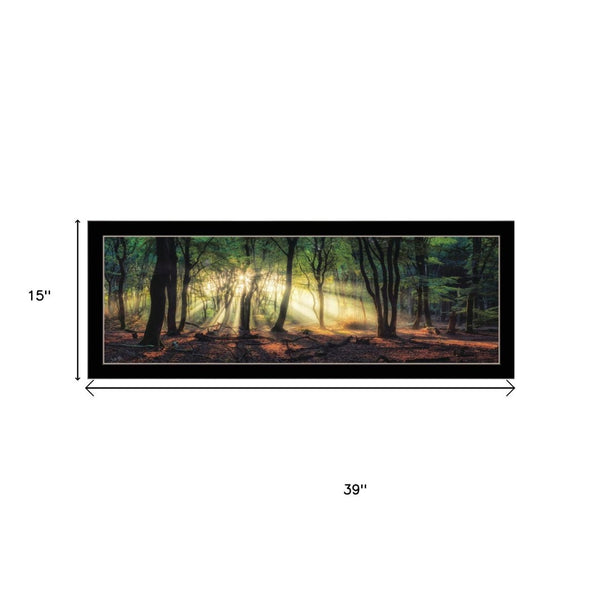 HomeRoots Set of Two Framed Wall Art - Sun Rays Through Forest Scene, Elegant Design for Home Decor 568742