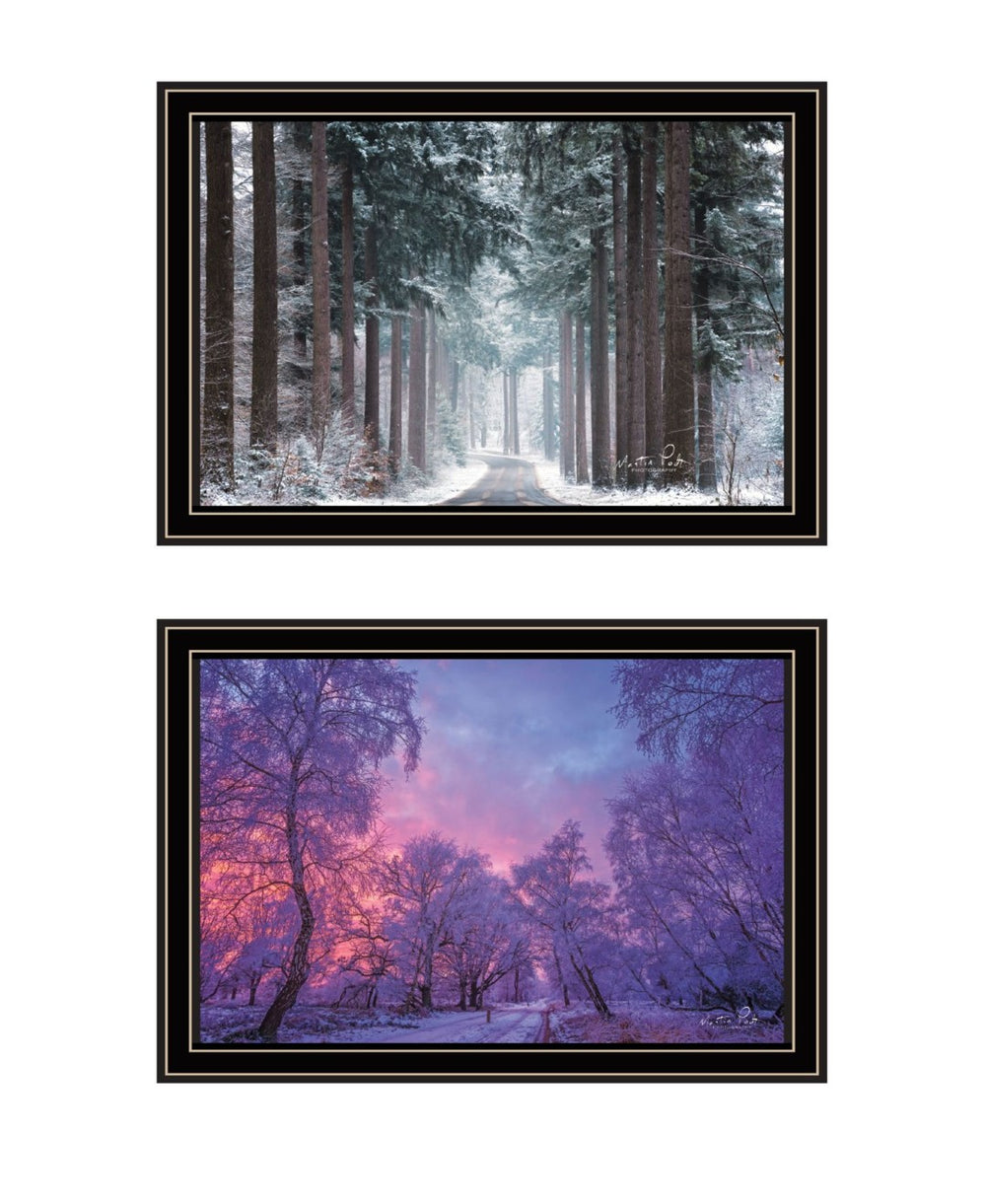 HomeRoots Set of Two Elegant Winter Wonderland Framed Wall Art - Stylish Black Frames for Modern Decor 568745