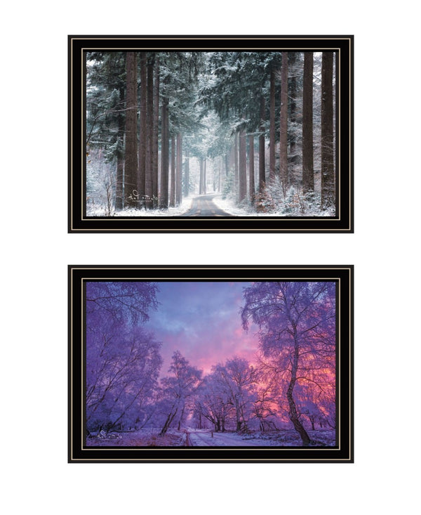 HomeRoots Set of Two Elegant Winter Wonderland Framed Wall Art - Stylish Black Frames for Modern Decor 568745
