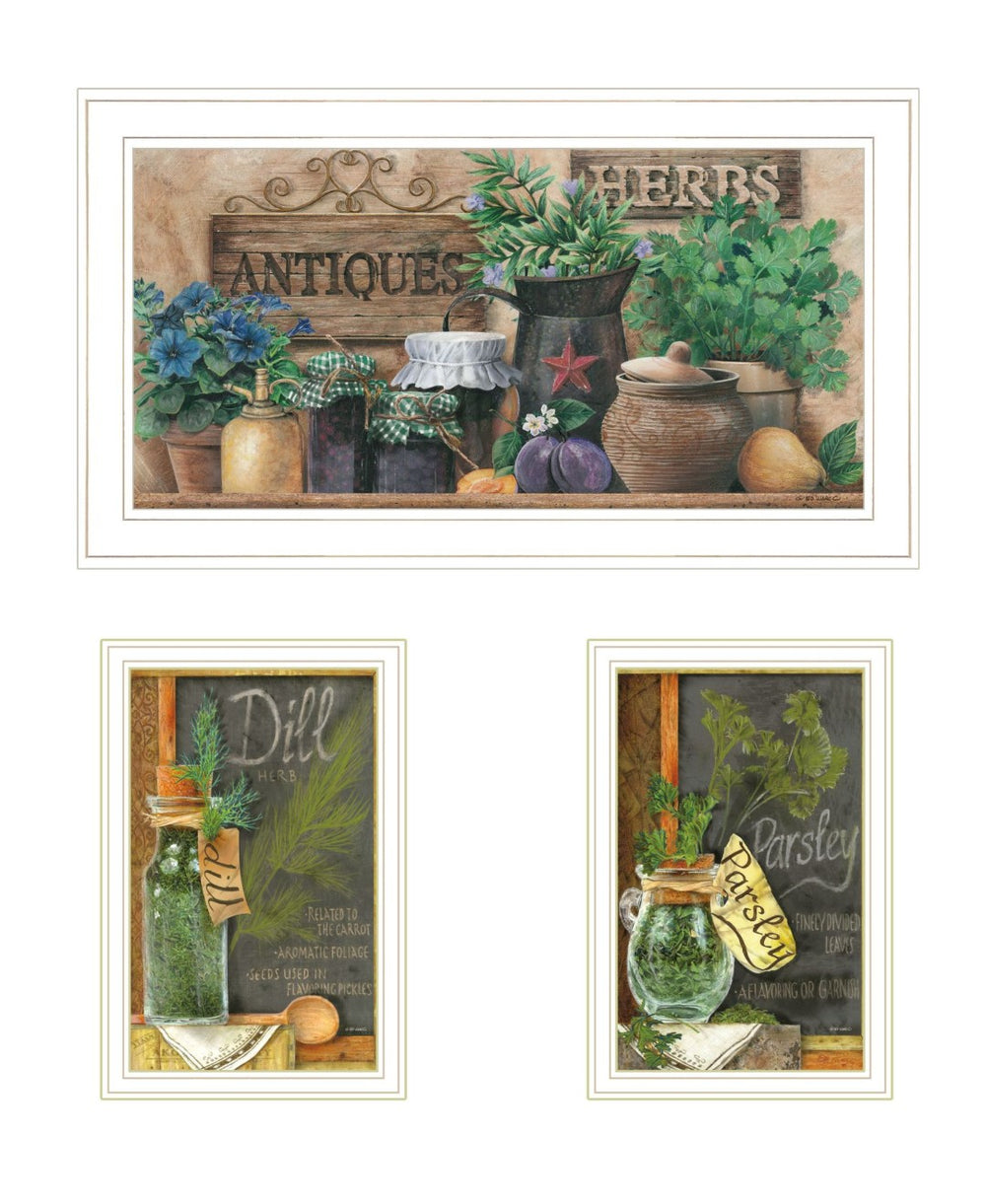 HomeRoots Set of Three Framed Vintage Botanical Art Prints for Kitchen Decor - Charming Antique Style 568768