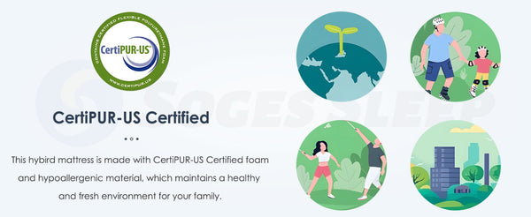 English Elm Twin Size Mattress - 12-Inch Hybrid Design With Cooling Gel Foam & Pocketed Coils For Ultimate Comfort W2889P316181-GIGA