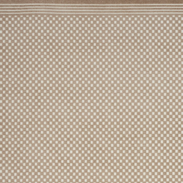 Homeroots 8' X 10' Brown Geometric Area Rug  Polypropylene 569753