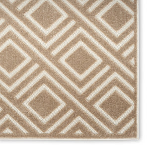 Homeroots 8' X 10' Brown Geometric Area Rug  Polypropylene 569754