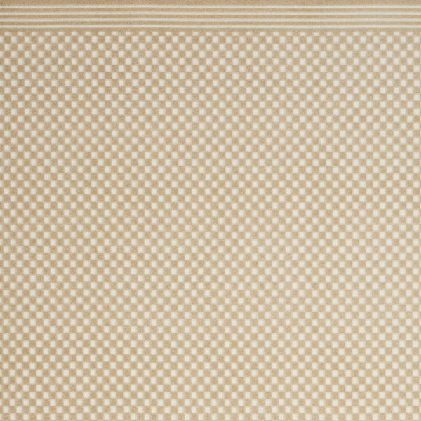 Homeroots 8' X 10' Tan Geometric Area Rug  Polypropylene 569771