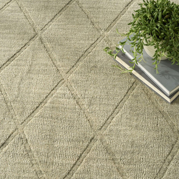 HomeRoots 4' Sage Wool Geometric Area Rug - Modern Design for Entryways, Bedrooms & Small Spaces - Soft & Durable 4' X 6' 569922