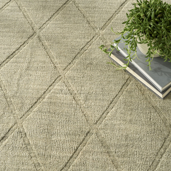 Homeroots 5' X 7' Sage Wool Geometric Area Rug  Wool 569927