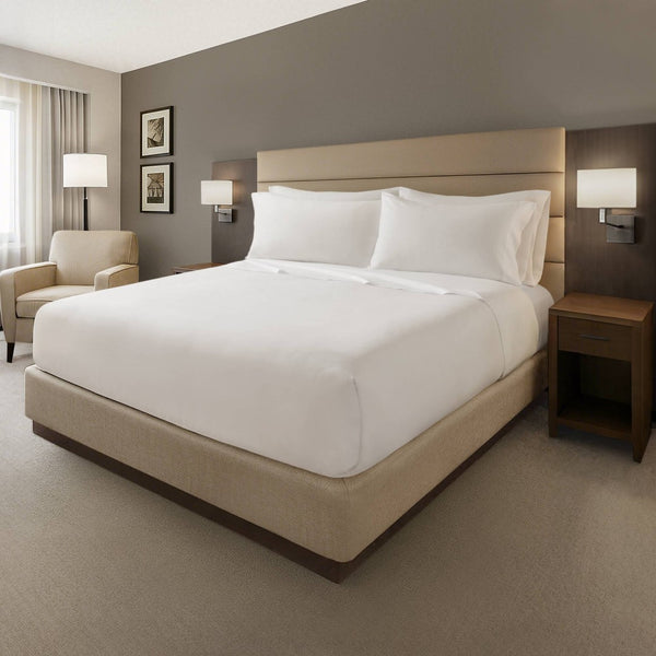 English Elm 4-piece Queen Brushed Microfiber Sheet Set Soft Wrinkle Resistant Oeko-tex Bedding B035P437456