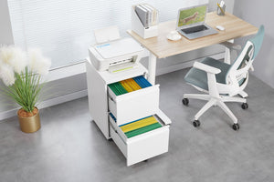 English Elm [requires Assembly] Locking Steel File Cabinet Two Drawers Mobile Wheels Home Office Storage T3625P453425