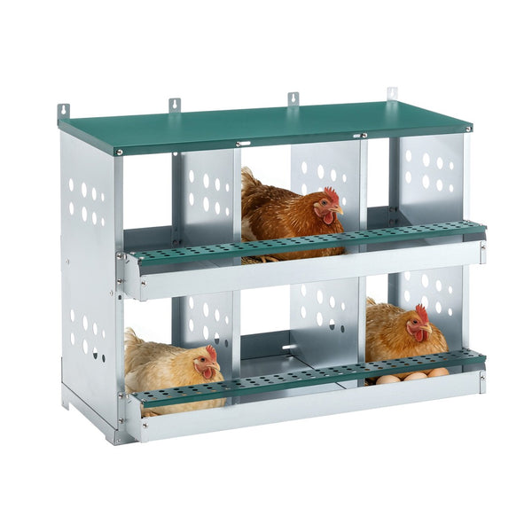 English Elm 6 Compartment Roll Away Galvanized Steel Chicken Nesting Box for Backyard Coops W1422P299377