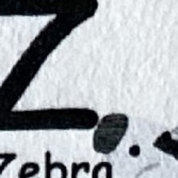 Homeroots 4' X 6' Gray Brown And Green Juvenile Alphabet Youthful Area Rug  Polyester 570019