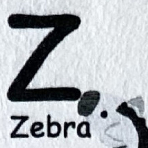 Homeroots 4' X 6' Gray Brown And Green Juvenile Alphabet Youthful Area Rug  Polyester 570019