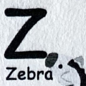 Homeroots 5' X 8' Gray Brown And Green Juvenile Alphabet Youthful Area Rug  Polyester 570020