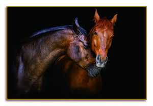 Homeroots Black Two Horses Caressing Gold Framed Wall Art - Stunning Equestrian Decor For Your Home  Acrylic 571429