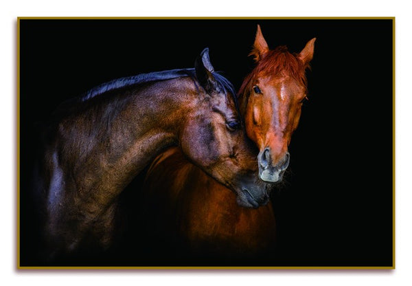 Homeroots Black Two Horses Caressing Gold Framed Wall Art - Stunning Equestrian Decor For Your Home  Acrylic 571429