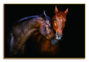 Homeroots Black Two Horses Caressing Gold Framed Wall Art - Stunning Equestrian Decor For Your Home  Acrylic 571429