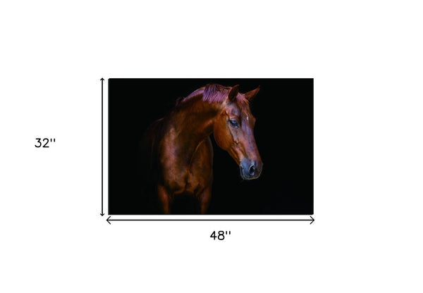 Homeroots Pensive Mare Unframed Acrylic Wall Art - Stunning Horse Decor To Elevate Your Home's Style!  Acrylic 571437