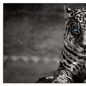 Homeroots Black Spotted Leopard Wall Art - Unframed Black & White Design With Blue Eyes For Trendy Decor  Acrylic 571442