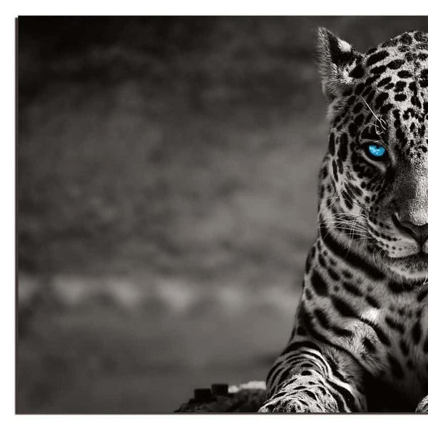 Homeroots Black Spotted Leopard Wall Art - Unframed Black & White Design With Blue Eyes For Trendy Decor  Acrylic 571442