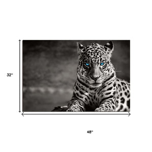Homeroots Black Spotted Leopard Wall Art - Unframed Black & White Design With Blue Eyes For Trendy Decor  Acrylic 571442
