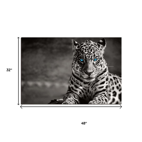 Homeroots Black Spotted Leopard Wall Art - Unframed Black & White Design With Blue Eyes For Trendy Decor  Acrylic 571442