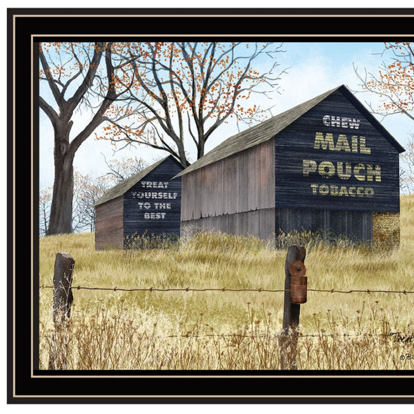 HomeRoots Set of Two Rustic Americana Framed Wall Art Featuring Mail Pouch Barn & Buck County Bridge Designs 571927
