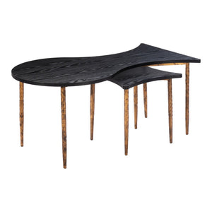 HomeRoots Set of Two Free-Form Black Wood and Distressed Bronze Steel Coffee and End Tables for Modern Living 572203