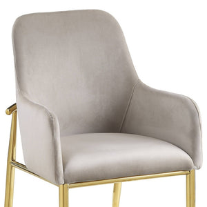 HomeRoots Set of Two Gray Velvet Dining Side Chairs with Gold Legs - Modern Comfort for Any Space 573311