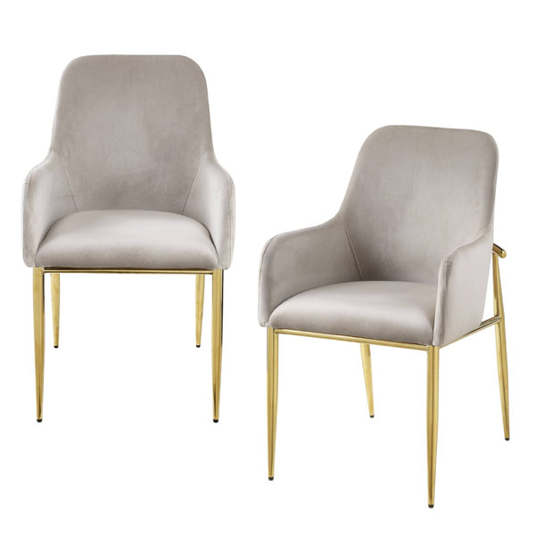 HomeRoots Set of Two Gray Velvet Dining Side Chairs with Gold Legs - Modern Comfort for Any Space 573311