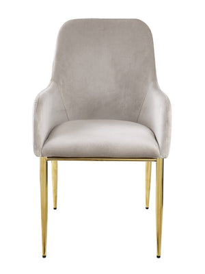 HomeRoots Set of Two Gray Velvet Dining Side Chairs with Gold Legs - Modern Comfort for Any Space 573311