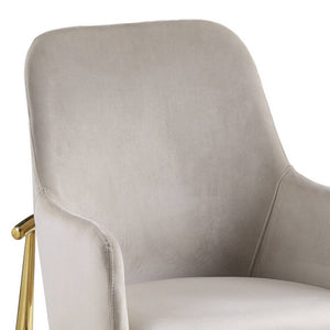 HomeRoots Set of Two Gray Velvet Dining Side Chairs with Gold Legs - Modern Comfort for Any Space 573311
