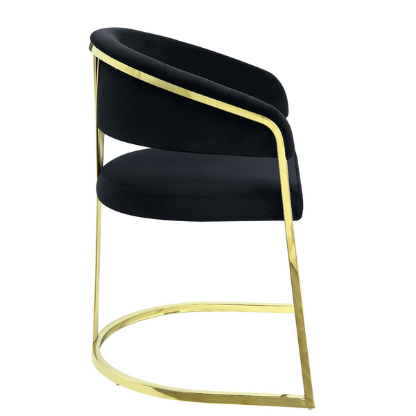 HomeRoots Black Velvet Dining Side Chair with Gold Accents - Modern Armless Design for Stylish Spaces 573338