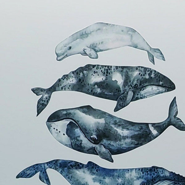 Homeroots Whale Art Canvas Print – Tropical Sea Life Wall Decor In Stylish Floater Frame, 36"X24"  Canvas 573457