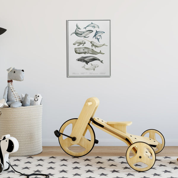 Homeroots Under The Sea White Floater Frame Print - Vibrant Tropical Wall Art For Stylish Home Décor  Canvas 573458