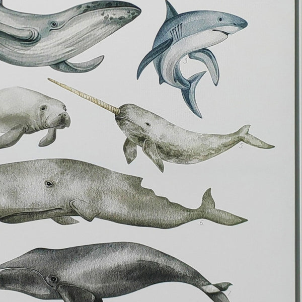 Homeroots Under The Sea White Floater Frame Print - Vibrant Tropical Wall Art For Stylish Home Décor  Canvas 573458