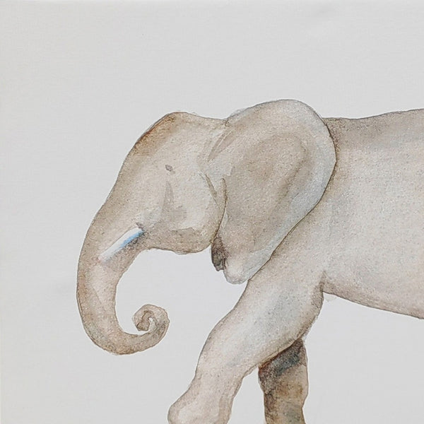 Homeroots Elephant White Floater Frame Print Wall Art – Exotic Jungle Decor For Stylish Home Interiors  Canvas 573459