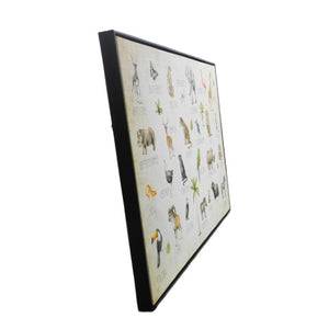 Homeroots Jungle Animals Alphabet Wall Art – Stylish Black Floater Frame For Kids' Rooms And Playrooms  Canvas 573460