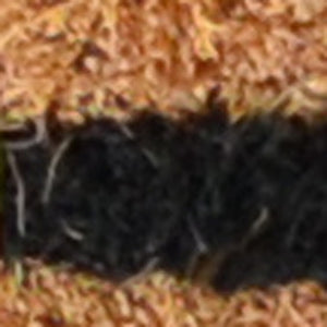 Homeroots 20" X 30" Brown And Black Coir Animal Print Outdoor Door Mat   573921