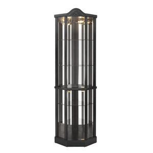 English Elm Lighted Corner Curio Cabinet With Adjustable Shelves, Elegant Black Design, Perfect For Home Display W1758P300126