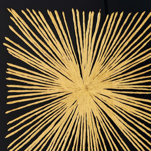HomeRoots Aurous Flare Gold Shadowbox Textual Art – Luxe, Modern Wall Décor for Living Spaces & Offices 576628